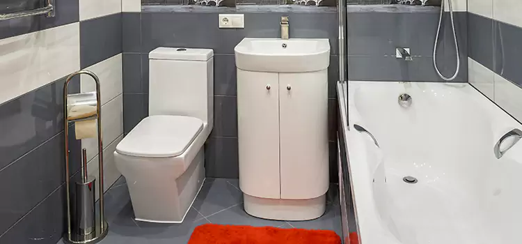 Hansgrohe Shaving Mirror Kennewick